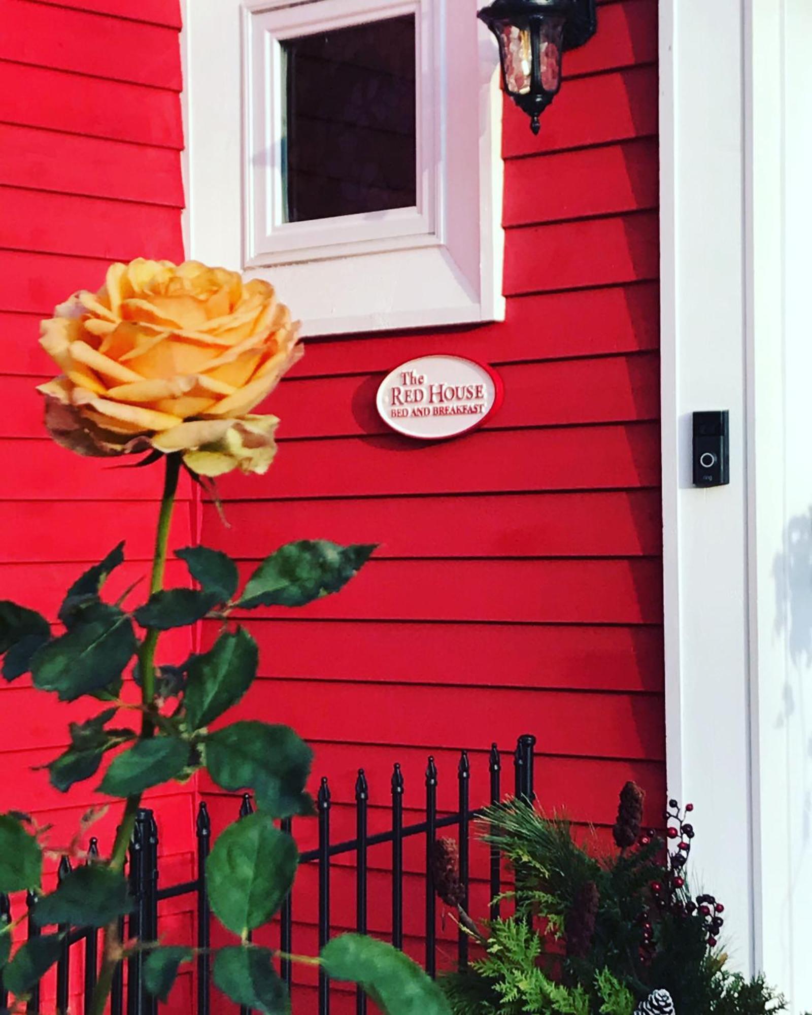 The Red House Fredericton Bed & Breakfast Bagian luar foto